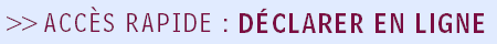 D&eacute;clarer en ligne